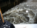 PICT0092.JPG