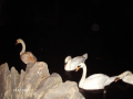PICT0136.JPG