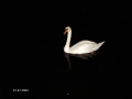 PICT0137.JPG