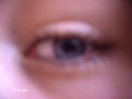 PICT0148.JPG