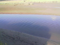 Summer 2005