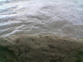 Cornwall(006).jpg