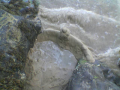 Cornwall(008).jpg