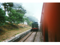 37140002.jpg