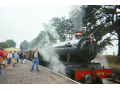 37140003.jpg