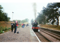 37140004.jpg