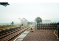37140005.jpg