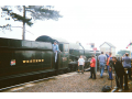 37140006.jpg