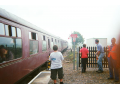 37140007.jpg