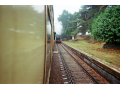 37140011.jpg
