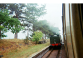 37140012.jpg