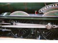 37140015.jpg
