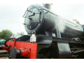 37140016.jpg