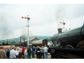 37140017.jpg