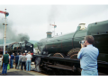 37140018.jpg